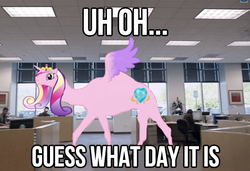 Size: 540x370 | Tagged: safe, edit, princess cadance, camel, g4, alicamel, female, geico, hump day, image macro, insurance, meme, solo, species swap