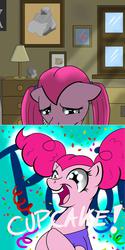 Size: 1280x2562 | Tagged: safe, artist:steveskunk, pinkie pie, g4, ask, asktheteeniepies, female, pinkamena diane pie, solo, tumblr