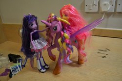 Size: 1095x730 | Tagged: safe, artist:hampshirebrony, fluttershy, princess cadance, twilight sparkle, equestria girls, g4, irl, merchandise, photo, ponied up