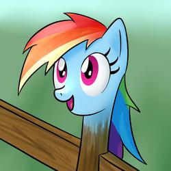 Size: 680x680 | Tagged: safe, artist:cuizhu, rainbow dash, g4, day, female, fence, head, looking up, not salmon, open mouth, post, smiling, solo, wat, what has science done