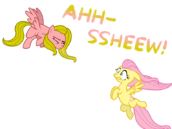 Size: 2048x1536 | Tagged: safe, artist:proponypal, fluttershy, oc, oc:typhoon, g4, duo, mucus, sneezing, sneezing fetish, snot, spit, spray, wind