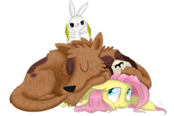 Size: 1350x900 | Tagged: safe, artist:swanlullaby, angel bunny, fluttershy, dog, orthros, g4, trade ya!, angel is a bunny bastard, cuddling, cymbals, multiple heads, musical instrument, pure unfiltered evil, simple background, sleeping, snuggling, this will end in tears and/or death, transparent background, two heads