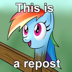 Size: 894x894 | Tagged: artist needed, source needed, safe, rainbow dash, g4, female, fence, image macro, meme, not salmon, post, pun, solo, wat, what has science done