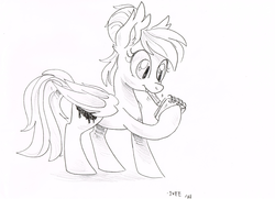 Size: 3441x2488 | Tagged: safe, artist:iveechan, oc, oc only, oc:inky, bat pony, pony, fangs, hair bun, high res, monochrome, notebook, pencil, pencil drawing, solo, traditional art, writing