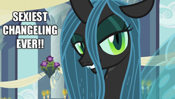 Size: 992x558 | Tagged: safe, edit, edited screencap, screencap, queen chrysalis, changeling, changeling queen, a canterlot wedding, g4, bust, female, image macro, meme, opinion, sexiest pony alive, solo