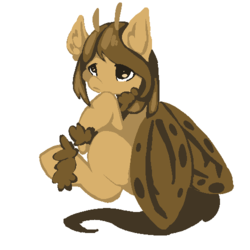 Size: 500x500 | Tagged: artist needed, safe, oc, oc only, oc:sepia, mothpony, original species, ask the moths, simple background, sitting, solo, white background