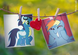 Size: 1024x730 | Tagged: safe, artist:rainbowdangerdashie, rainbow dash, soarin', g4, clothes line, clothespin, female, male, photo, ship:soarindash, shipping, straight