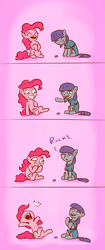 Size: 694x1655 | Tagged: safe, artist:poptart36, boulder (g4), maud pie, pinkie pie, earth pony, pony, g4, clothes, comic, cute, duo, female, it runs in the family, laughing, mare, maudabetes, maximum trolling, prank, sisters, smiling, trolling, when she smiles