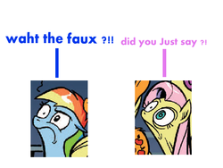 Size: 640x480 | Tagged: safe, idw, fluttershy, rainbow dash, g4, meme, reaction image, wtf