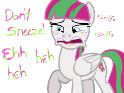 Size: 2048x1536 | Tagged: safe, artist:proponypal, blossomforth, pegasus, pony, g4, female, fetish, folded wings, mare, nostril flare, nostrils, pre sneeze, simple background, sneezing, sneezing fetish, solo, transparent background, wings