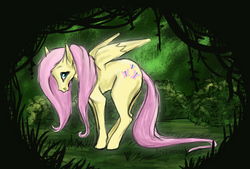 Size: 948x641 | Tagged: safe, artist:entwin, fluttershy, g4, female, solo