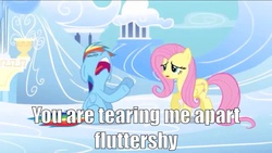 Size: 1136x640 | Tagged: safe, fluttershy, rainbow dash, g4, meme, the room, you're tearing me apart lisa