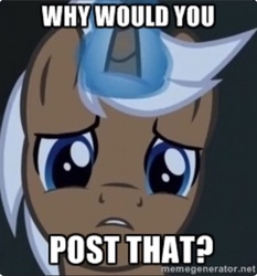 Size: 842x902 | Tagged: safe, mochaccino, rare find, pony, unicorn, g4, twilight's kingdom, image macro, male, meme, solo, stallion, why would you post that