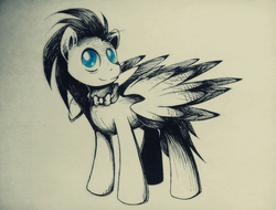 Size: 1117x849 | Tagged: safe, artist:agletka, doctor whooves, time turner, pegasus, pony, ask discorded whooves, g4, bowtie, discorded, discorded whooves, male, monochrome, photo, race swap, solo, traditional art