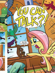 Size: 720x960 | Tagged: safe, idw, official comic, fluttershy, pegasus, pony, squirrel, friends forever #5, g4, my little pony: friends forever, spoiler:comic, idw advertisement, preview