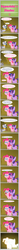 Size: 586x7888 | Tagged: safe, artist:zacatron94, pinkie pie, twilight sparkle, zecora, alicorn, pony, zebra, g4, equestria's stories, female, mare, potion, twilight sparkle (alicorn)