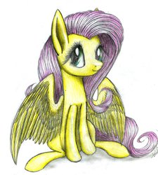 Size: 1024x1138 | Tagged: safe, artist:kobra333, fluttershy, g4, female, solo, traditional art