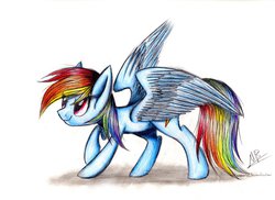 Size: 1024x744 | Tagged: safe, artist:kobra333, rainbow dash, g4, female, palindrome get, solo, traditional art