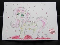 Size: 600x450 | Tagged: safe, artist:zakro, fluttershy, g4, 2014, convention, crying, female, flower, japan ponycon, request, solo, traditional art