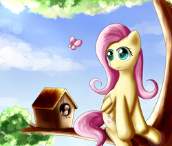 Size: 3530x3007 | Tagged: safe, artist:dyoung, fluttershy, bird, butterfly, pegasus, pony, g4, female, high res, nature, pixiv, shed, sitting, smiling, soft, solo, tree, tree branch