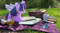 Size: 1200x675 | Tagged: safe, artist:pixelkitties, spike, twilight sparkle, alicorn, pony, g4, book, cider, female, irl, mare, photo, picnic, plushie, ponies in real life, spike plushie, twilight sparkle (alicorn)
