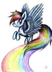 Size: 1024x1409 | Tagged: safe, artist:kobra333, rainbow dash, g4, female, solo, traditional art