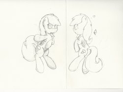 Size: 3296x2480 | Tagged: dead source, safe, artist:php106, rainbow dash, pegasus, pony, g4, body pillow, body pillow design, butt, cute, high res, monochrome, plot, pov, traditional art