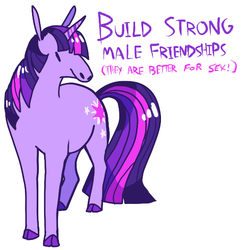 Size: 503x521 | Tagged: safe, artist:jester, edit, twilight sparkle, g4, female, mouthpiece, solo, tumblr