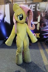 Size: 640x960 | Tagged: safe, artist:pupanicorn, fluttershy, human, g4, chile, comic con, cosplay, fursuit, irl, irl human, jack bauer, photo, solo