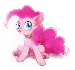 Size: 1000x926 | Tagged: safe, artist:nora1211, pinkie pie, dog, g4, chest fluff, collar, cute, diapinkes, dogified, ear fluff, element of laughter, female, paw pads, paws, puppy pie, simple background, sitting, solo, species swap, tongue out, underpaw, white background