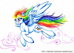 Size: 800x568 | Tagged: safe, artist:donika-schovina, rainbow dash, g4, female, flying, solo, traditional art