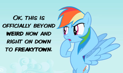 Size: 500x300 | Tagged: safe, edit, edited screencap, screencap, rainbow dash, g4, may the best pet win, caption, female, quote, reaction image, solo, text