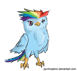 Size: 568x521 | Tagged: safe, artist:pyrrhicpteric, rainbow dash, bird, owl, g4, birdified, crossover, female, legend of the guardians, legend of the guardians: the owls of ga'hoole, rainbird dash, simple background, solo, species swap, transparent background