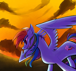 Size: 908x843 | Tagged: safe, artist:the-doodle-queen, rainbow dash, g4, female, solo