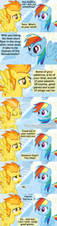 Size: 1120x4410 | Tagged: safe, artist:beavernator, rainbow dash, spitfire, alicorn, pegasus, pony, g4, alicornified, caught, comic, eyes closed, grin, implied cheating, looking up, oh my, open mouth, race swap, raised hoof, shocked, smiling, speechless, spitfirecorn, spread wings, wide eyes