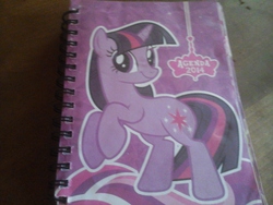 Size: 2048x1536 | Tagged: safe, twilight sparkle, g4, 2014, agenda, book, diary, female, journal, merchandise, solo, spanish, special face