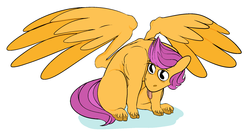 Size: 1835x977 | Tagged: safe, artist:10soup, scootaloo, pegasus, pony, g4, colored, female, simple background, sitting, solo, tongue out, white background, wings