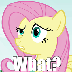 Size: 640x640 | Tagged: safe, screencap, fluttershy, pony, g4, inspiration manifestation, caption, confluttershy, confused, cropped, female, image macro, mare, meme, reaction image, solo