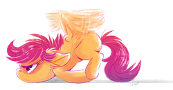 Size: 2069x1077 | Tagged: safe, artist:graystripe64, scootaloo, pegasus, pony, g4, ear fluff, face down ass up, female, filly, flapping, flapping wings, foal, scootaloo can't fly, scootie belle, scooting, signature, simple background, solo, unamused, white background, wings