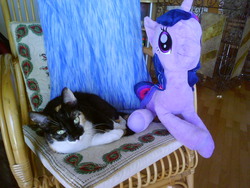 Size: 1280x960 | Tagged: artist needed, safe, twilight sparkle, cat, g4, chair, irl, photo, pillow, plushie