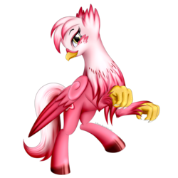 Size: 1700x1700 | Tagged: safe, artist:bludraconoid, oc, oc only, oc:stargazer, classical hippogriff, griffon, hippogriff, simple background, solo, transparent background
