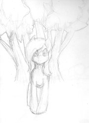 Size: 1024x1420 | Tagged: safe, artist:doomcakes, derpy hooves, pegasus, pony, g4, female, mare, monochrome, solo, traditional art, tree