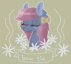 Size: 573x519 | Tagged: dead source, safe, artist:berrydrops, bow tie (g1), earth pony, pony, g1, bow, bust, eyes closed, female, flower, mare, portrait, solo