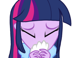 Size: 2048x1536 | Tagged: safe, artist:proponypal, twilight sparkle, equestria girls, g4, female, handkerchief, nose blowing, sneezing, sneezing fetish, solo, tissue