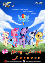 Size: 630x892 | Tagged: safe, artist:nekokevin, applejack, derpy hooves, fluttershy, pinkie pie, rainbow dash, rarity, twilight sparkle, earth pony, pegasus, pony, unicorn, g4, cover, dvd cover, engrish, fake, female, mane six, mare, movie poster, my little pony logo, party cannon, unicorn twilight