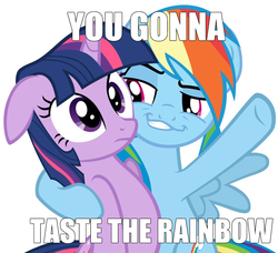 Size: 1119x1022 | Tagged: safe, rainbow dash, twilight sparkle, pegasus, pony, unicorn, g4, duo, exploitable meme, female, image macro, innuendo, lesbian, mare, meme, ship:twidash, shipping, smugdash, taste the rainbow, x x everywhere