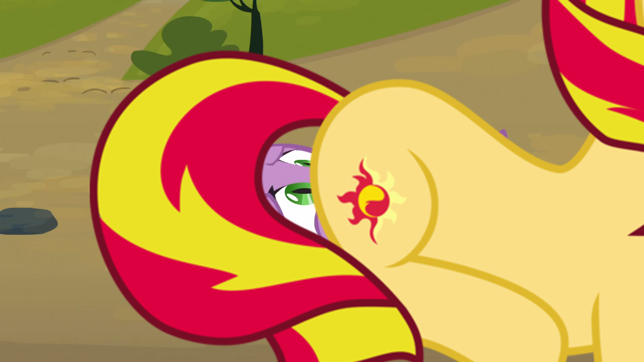 1280px x 720px - 652152 - questionable, edit, edited screencap, screencap, spike, sunset  shimmer, pony, unicorn, facesitting, facesitting on spike, female, male,  shipping, show accurate, show accurate porn, straight, sunsetspike -  Derpibooru