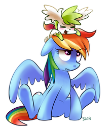 Size: 700x800 | Tagged: safe, artist:sion-ara, rainbow dash, shaymin, g4, blushing, crossover, cute, eyes closed, pokémon