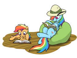 Size: 1024x768 | Tagged: safe, artist:topgull, daring do, rainbow dash, scootaloo, pegasus, pony, g4, beanbag chair, book, daring do costume, dash and scootaloo's cycle of obsession, fangirl, female, filly, foal, hat, lying down, mare, obsession, on back, on side, rainbow wig, reading, scootobsession, smiling, wig