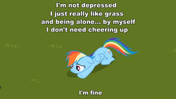 Size: 959x540 | Tagged: safe, rainbow dash, g4, caption, denial, female, grass, image macro, meme, sad, solo